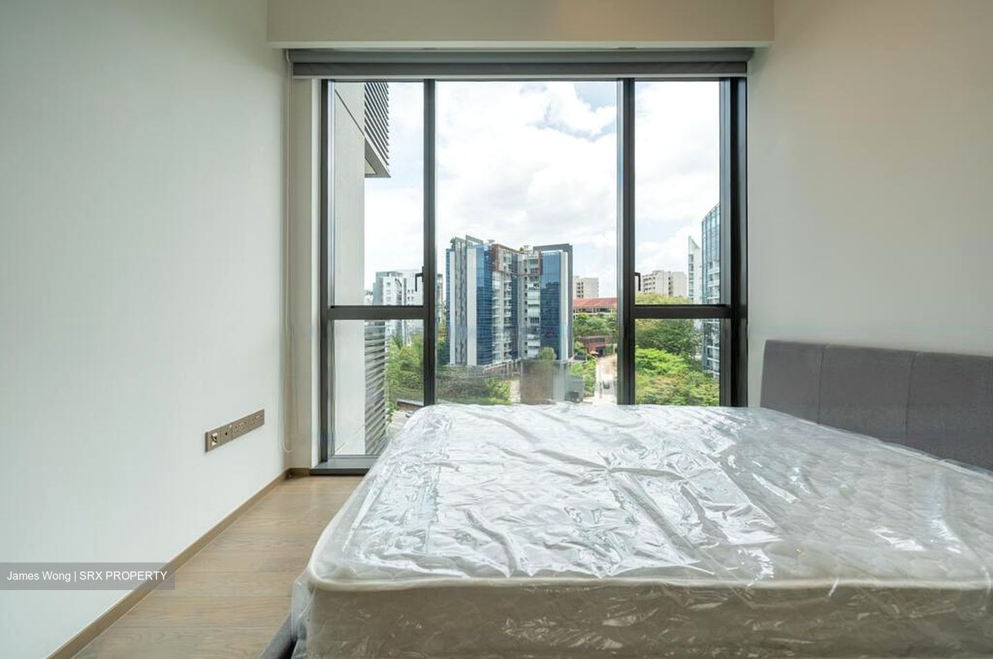 Leedon Green (D10), Condominium #424544301